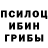 Псилоцибиновые грибы Psilocybe Yustas Joe