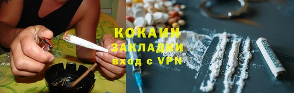 гидра Горно-Алтайск